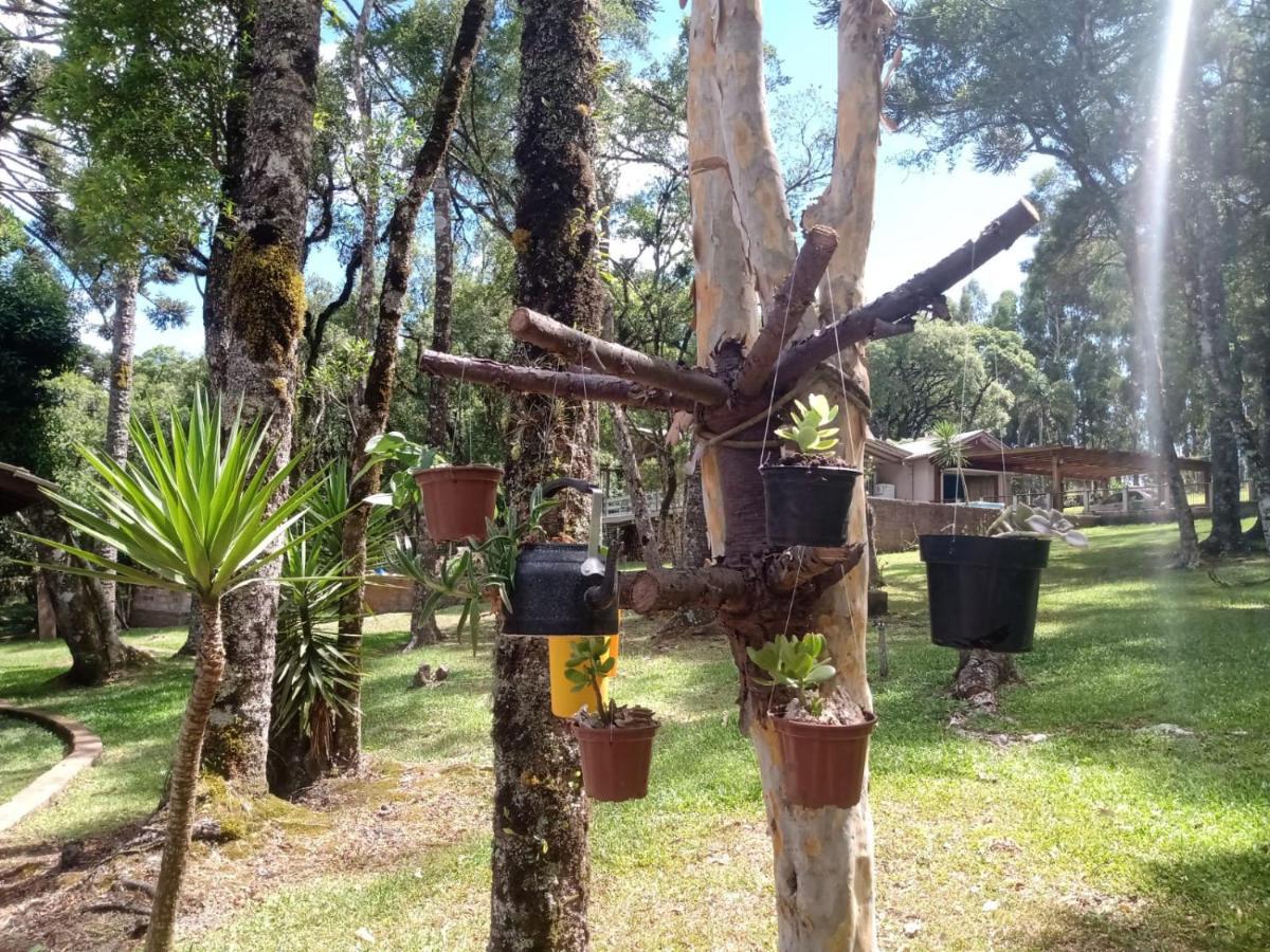 Cabana Romance - Recanto Da Natureza Canela Dış mekan fotoğraf