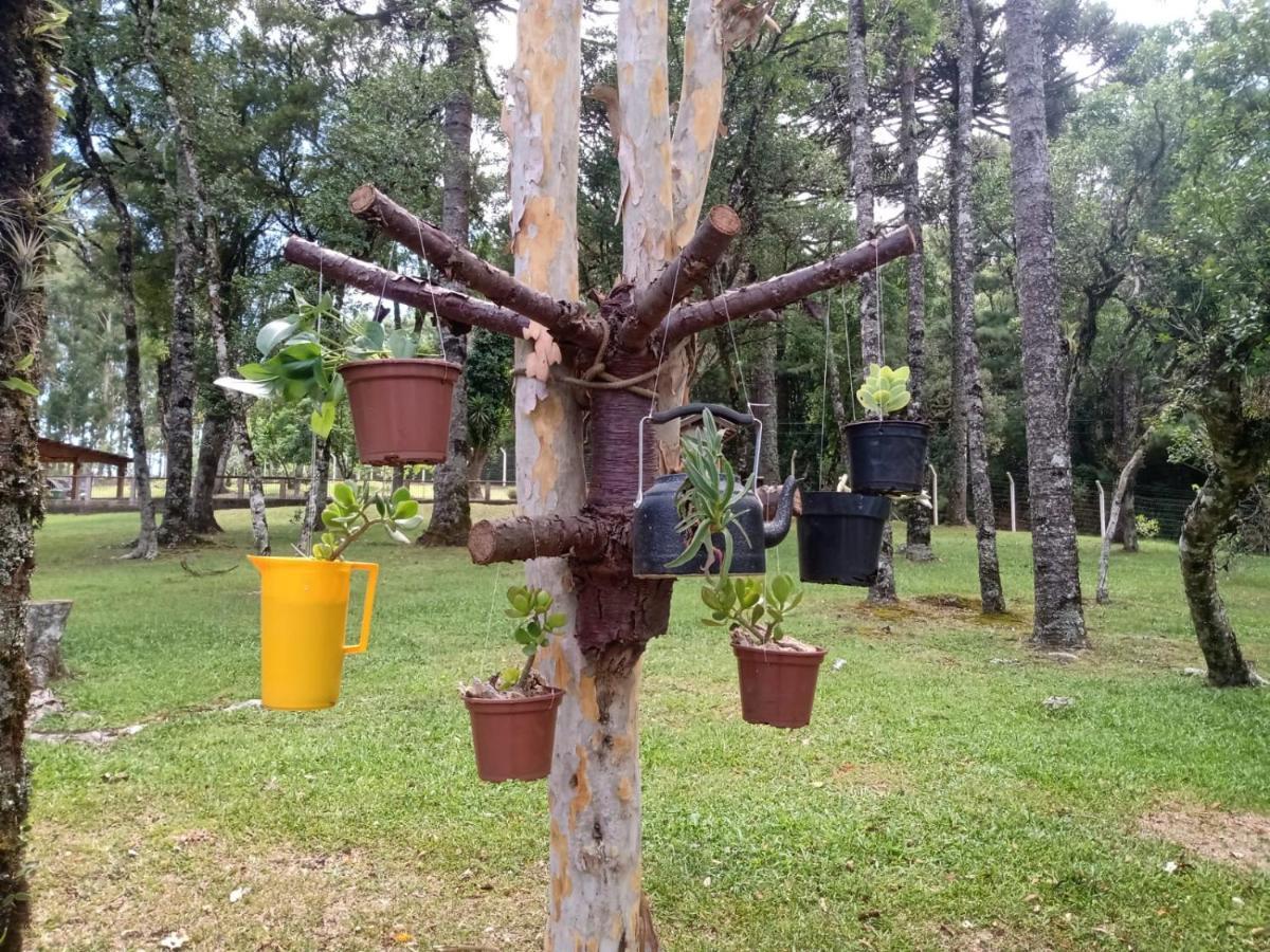Cabana Romance - Recanto Da Natureza Canela Dış mekan fotoğraf