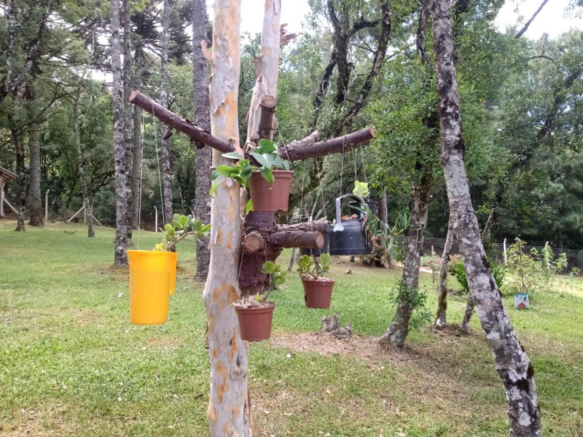 Cabana Romance - Recanto Da Natureza Canela Dış mekan fotoğraf